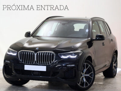BMW X5 xDrive30d 195 kW (265 CV)