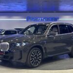 Video BMW X5 xDrive50e xLine 360 kW (489 CV)