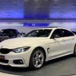 BMW Serie 4 420d Gran Coupe 140 kW (190 CV)