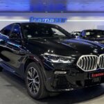 BMW X6 xDrive30d 210 kW (286 CV)