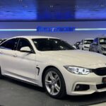 BMW Serie 4 420d Gran Coupe 140 kW (190 CV)