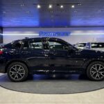 BMW X4 xDrive20d 140 kW (190 CV)