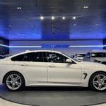 BMW Serie 4 420d Gran Coupe 140 kW (190 CV)
