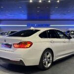 BMW Serie 4 420d Gran Coupe 140 kW (190 CV)