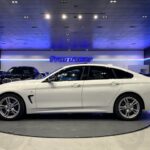 BMW Serie 4 420d Gran Coupe 140 kW (190 CV)