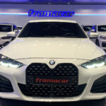 BMW Serie 4 420i Gran Coupe 135 kW (184 CV)