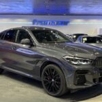 BMW X6 xDrive30d 195 kW (265 CV)