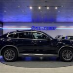 BMW X4 xDrive20d 140 kW (190 CV)