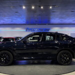 BMW X4 xDrive20d xLine 140 kW (190 CV)