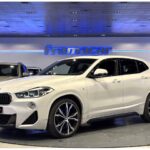 BMW X2 sDrive18d 110 kW (150 CV)