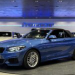 BMW Serie 2 218i Cabrio 100 kW (136 CV)
