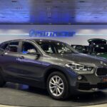BMW X2 sDrive18d 110 kW (150 CV)