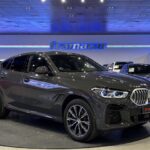 BMW X6 xDrive40d 250 kW (340 CV)
