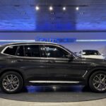 BMW X3 xDrive20d 140 kW (190 CV)