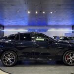 BMW X6 xDrive40d 250 kW (340 CV)