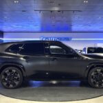 BMW XM 480 kW (653 CV)