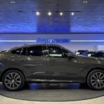 BMW X6 xDrive40d 250 kW (340 CV)