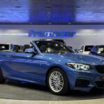 BMW Serie 2 218i Cabrio 100 kW (136 CV)