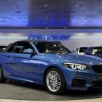 BMW Serie 2 218i Cabrio 100 kW (136 CV)