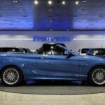 BMW Serie 2 218i Cabrio 100 kW (136 CV)