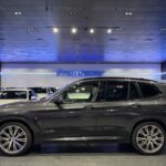 BMW X3 xDrive30d 195 kW (265 CV)