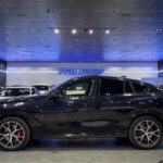 BMW X6 xDrive40d 250 kW (340 CV)