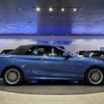 BMW Serie 2 218i Cabrio 100 kW (136 CV)