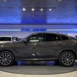 BMW X6 xDrive40d 250 kW (340 CV)