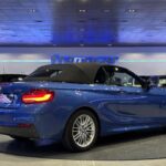 BMW Serie 2 218i Cabrio 100 kW (136 CV)