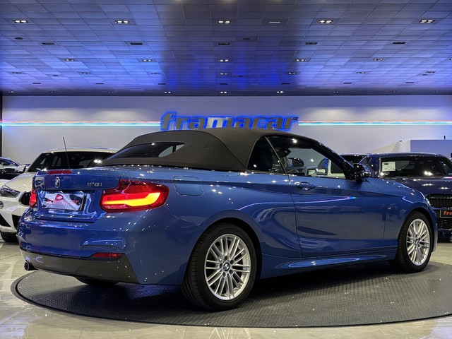 BMW Serie 2 218i Cabrio 100 kW (136 CV)