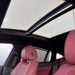 BMW X6 xDrive40d 250 kW (340 CV)