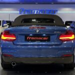 BMW Serie 2 218i Cabrio 100 kW (136 CV)