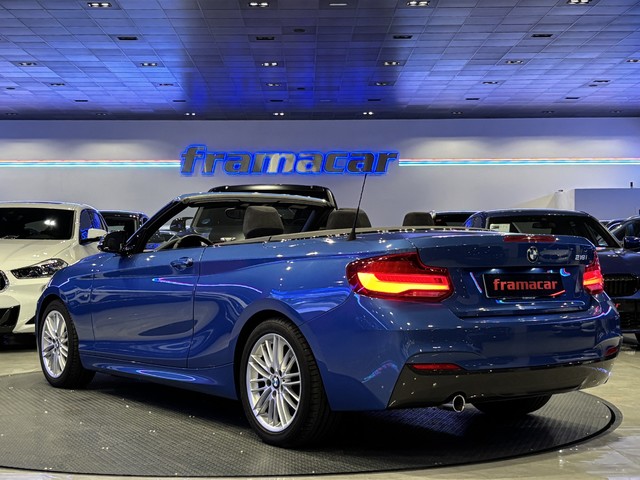 BMW Serie 2 218i Cabrio 100 kW (136 CV)