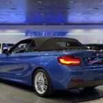 BMW Serie 2 218i Cabrio 100 kW (136 CV)