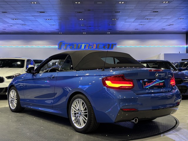 BMW Serie 2 218i Cabrio 100 kW (136 CV)