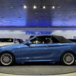 BMW Serie 2 218i Cabrio 100 kW (136 CV)
