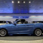 BMW Serie 2 218i Cabrio 100 kW (136 CV)