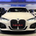 BMW Serie 4 420i Coupe 135 kW (184 CV)