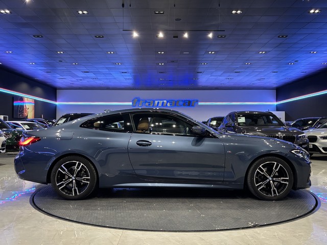 BMW Serie 4 420i Coupe 135 kW (184 CV)