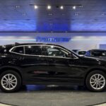 BMW X2 sDrive18d Business 110 kW (150 CV)