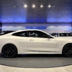 BMW Serie 4 420i Coupe 135 kW (184 CV)