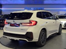 BMW X1 xDrive20d 120 kW (163 CV)