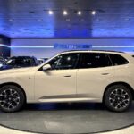 BMW X3 xDrive20d 145 kW (197 CV)
