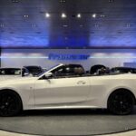 BMW Serie 4 420d Cabrio 140 kW (190 CV)
