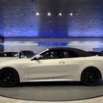 BMW Serie 4 420d Cabrio 140 kW (190 CV)