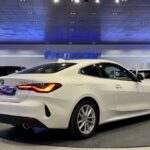BMW Serie 4 420i Coupe 135 kW (184 CV)