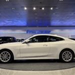 BMW Serie 4 420i Coupe 135 kW (184 CV)