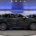 BMW X2 xDrive25e 162 kW (220 CV)