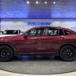 BMW X4 xDrive20d xLine 140 kW (190 CV)