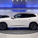 BMW X3 xDrive20d 145 kW (197 CV)